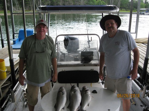 Nice Striped Bass